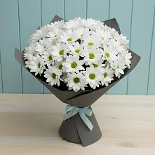 Букет цветов из:  Хризантемы в Новом Кяхулае